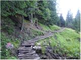 Passo Staulanza - Rifugio Venezia